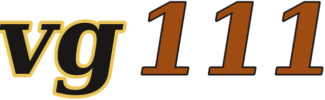 vg111 logo